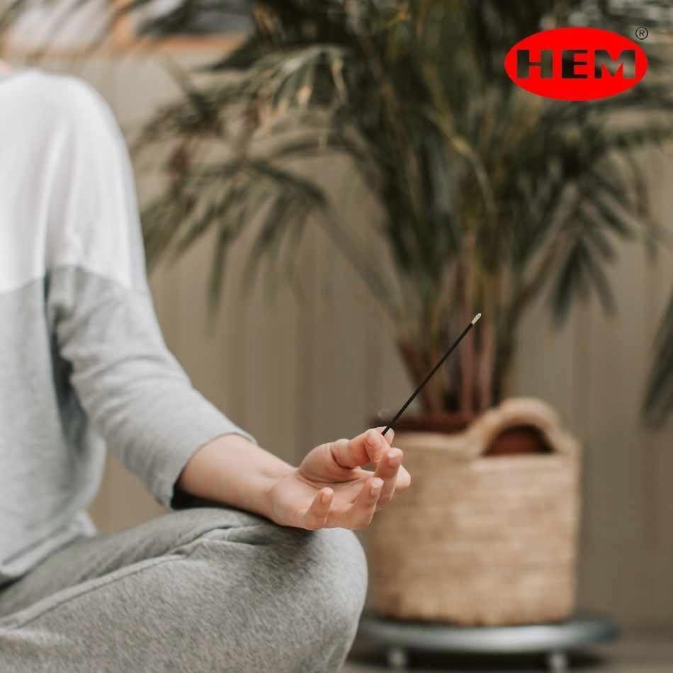 HEM Strawberry Vanilla Incense Sticks – Pack of Six 20‑Stick Tubes