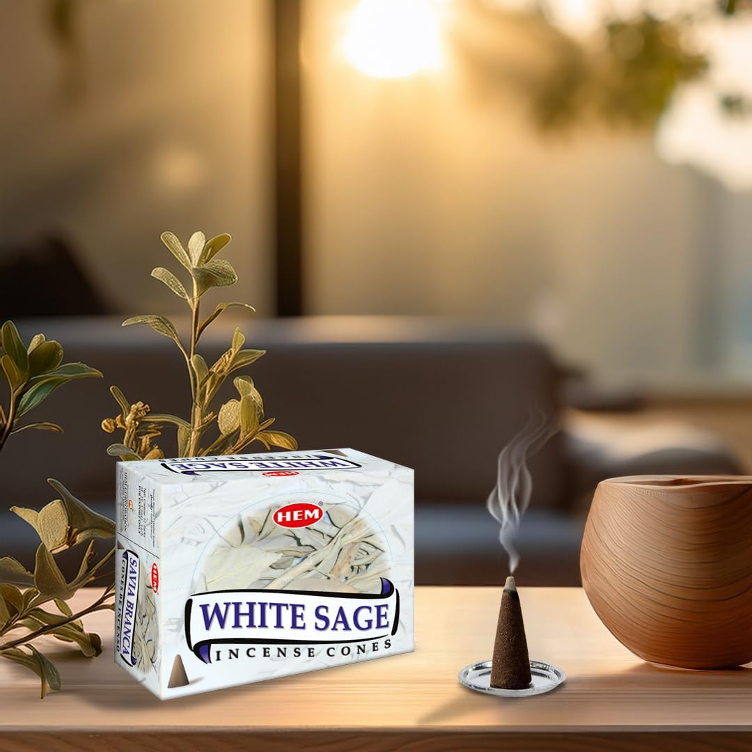 HEM White Sage Incense Cones – 12 Boxes of 10 Cones